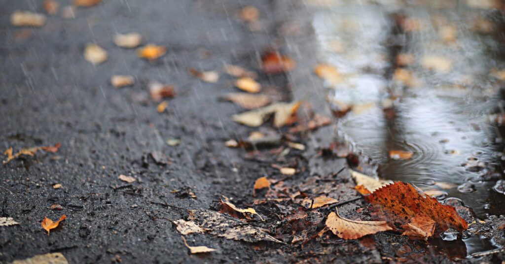 jesen sezonska depresija